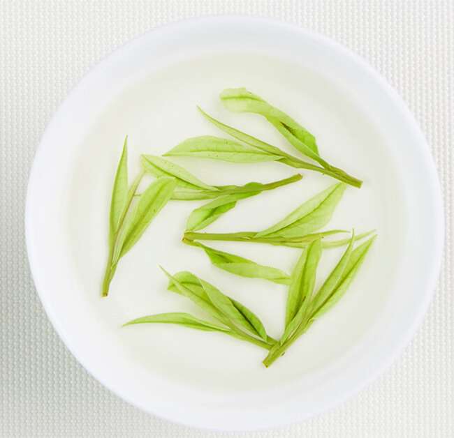 新乡长垣市安吉白茶专卖店，长垣安吉白茶【价格、图片、地址、联系方式】