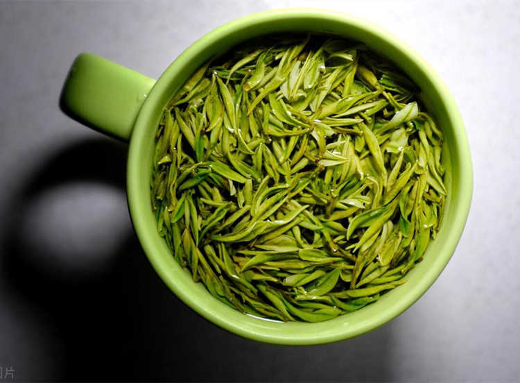 商丘宁陵县安吉白茶专卖店，宁陵安吉白茶【价格、图片、地址、联系方式】