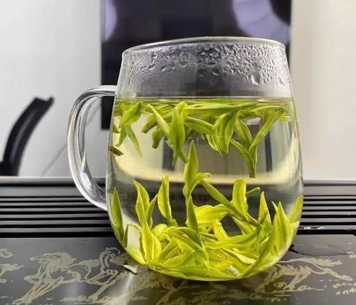 宿州市灵璧县安吉白茶专卖店，灵璧县安吉白茶【价格、图片、地址、联系方式】