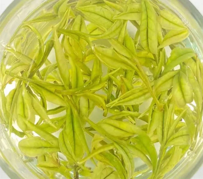 宿迁市泗洪县安吉白茶专卖店，泗洪县安吉白茶【地址、联系方式】