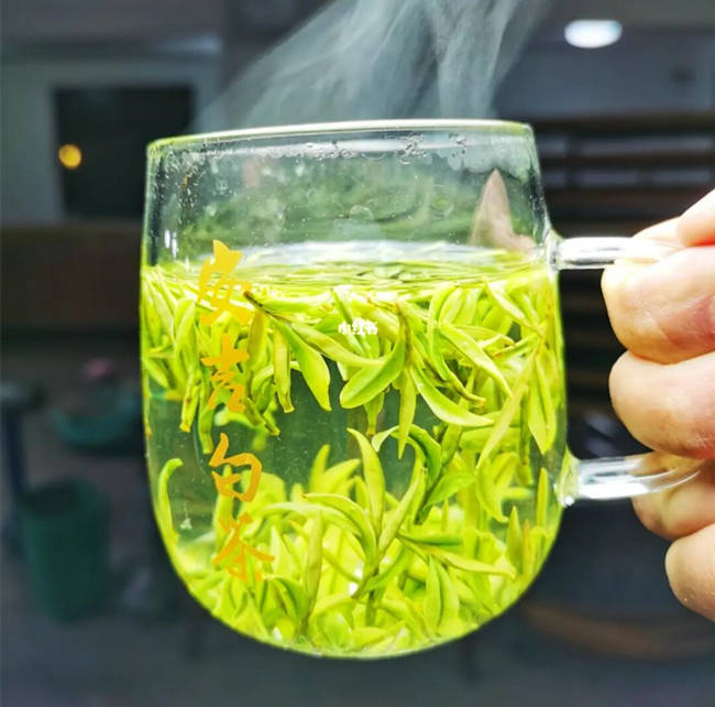 六安市霍邱县安吉白茶专卖店，霍邱县安吉白茶【价格、图片、地址、联系方式】