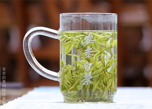 安吉白茶图片，浙江湖州安吉白茶图片大全