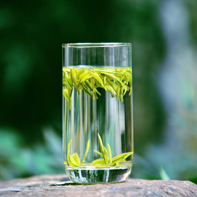 安吉白茶图片，浙江湖州安吉白茶图片大全