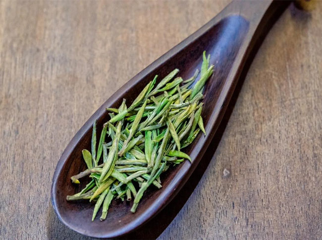 安吉白茶原产地在哪里，中国白茶之乡在哪