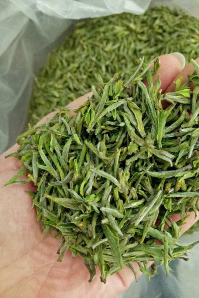 安徽名优特产岳西翠兰，岳西翠兰茶图片介绍