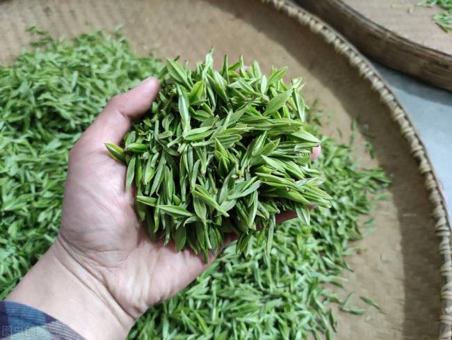 安徽云雾茶，岳西翠兰的功效与作用有哪些