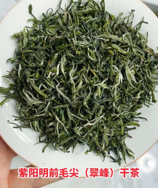 陕西富硒紫阳毛尖茶怎么样，紫阳毛尖茶图片介绍