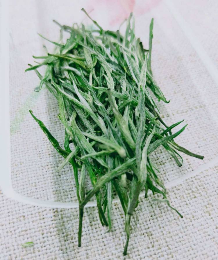 湖南安化松针简介，安化松针茶图片介绍