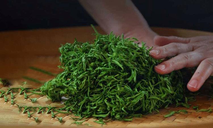 湖南安化松针简介，安化松针茶图片介绍