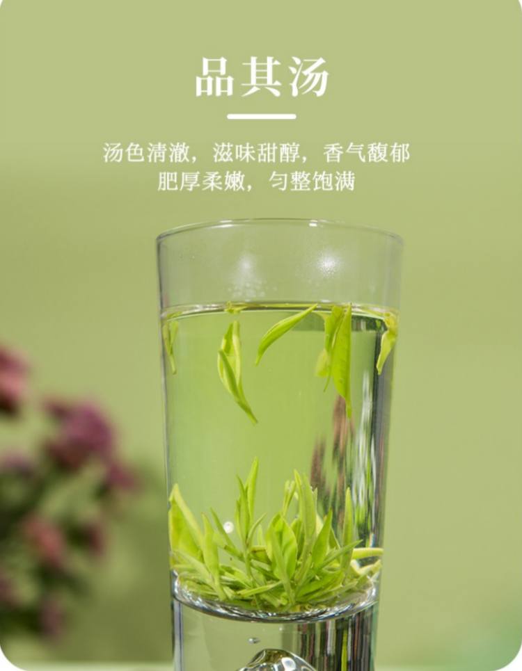 湖南安化松针简介，安化松针茶图片介绍