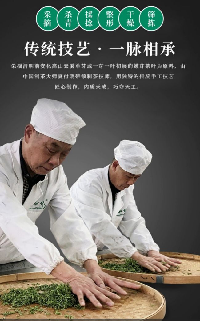 安化松针茶品牌有哪些,正宗安化松针茶价格多少钱一斤