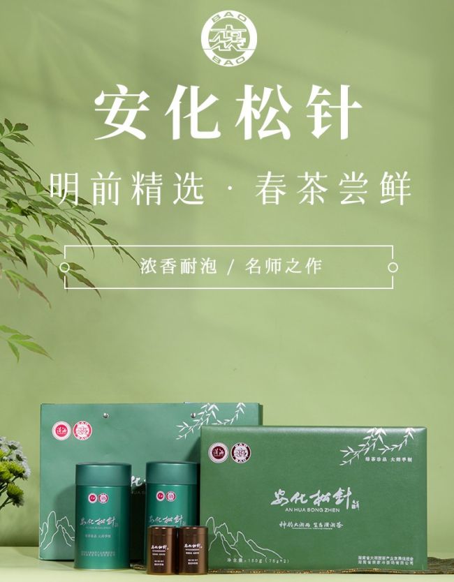 安化松针茶属于什么茶，湖南特产安化松针茶简介