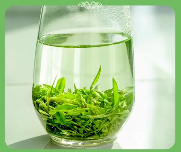 庐山云雾茶的功效与作用有哪些，江西庐山云雾茶怎么样