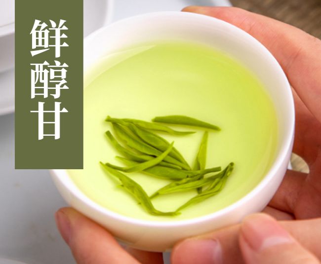 庐山云雾茶属于什么茶,江西特产庐山云雾茶历史由来简介