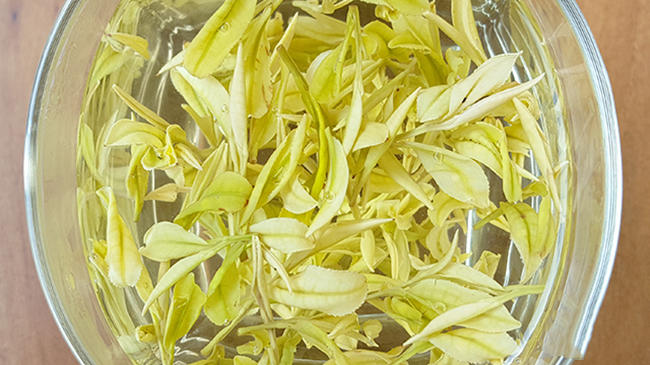 安吉奶白茶皇金芽属于什么茶，皇金芽价格多少钱一斤