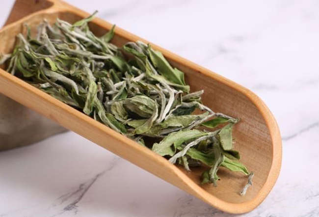 【福鼎白茶种类】白毫银针茶、白牡丹茶、寿眉茶的区别有哪些