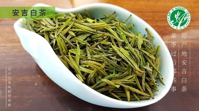 安吉白茶、安吉奶白皇金芽、黄金芽、黄金叶怎么区别