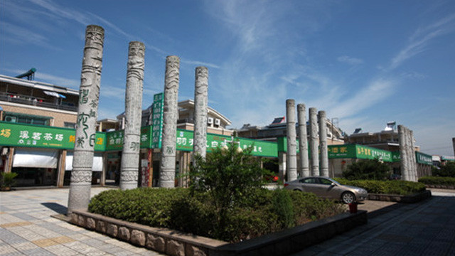 溪龙安吉白茶青叶交易市场地址，安吉白茶青叶在哪里交易