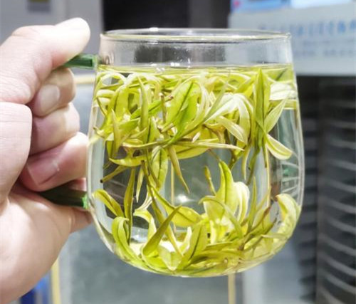 安吉白茶营养价值，安吉白茶的功效与作用有哪些