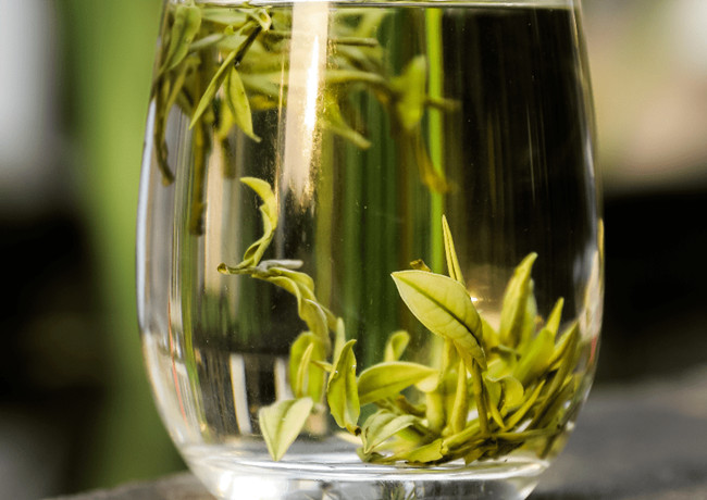 福鼎白茶、安吉白茶、云南月光白的区别有哪些，白茶是什么茶