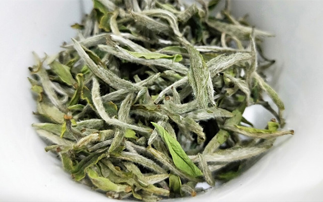 福鼎白茶、安吉白茶、云南月光白的区别有哪些，白茶是什么茶