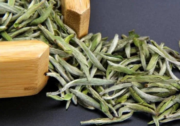 白茶的功效与作用介绍，白茶的副作用有哪些