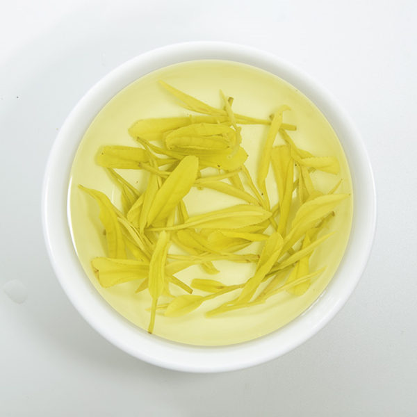白叶一号安吉白茶属于什么茶，安吉白茶是白茶还是绿茶