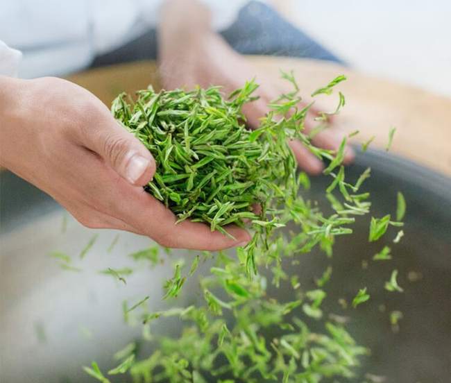南京特产雨花茶，江苏雨花茶图片怎么样介绍