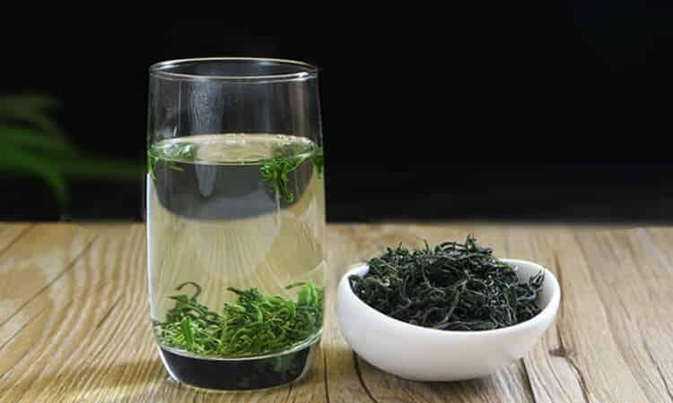 西山茶品牌有哪些，桂平西山茶价格多少钱一斤