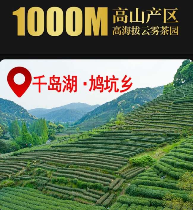 鸠坑毛尖茶冲泡方法步骤，淳安鸠坑毛尖茶怎么泡好吃