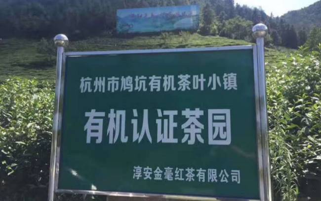 鸠坑毛尖茶生长环境怎么样，鸠坑毛尖茶核心产区在哪里