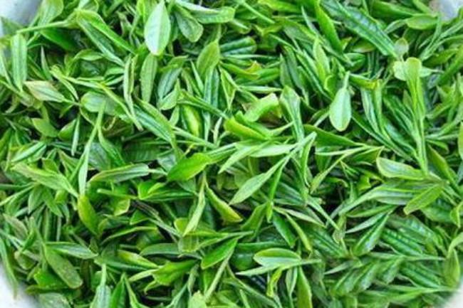 福建天山绿茶怎么样，天山绿茶图片简介