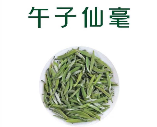 午子仙毫茶生长环境怎么样，汉中特产午子仙毫茶核心产区在哪里