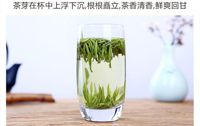 午子仙毫茶属于什么茶，陕西茗茶午子仙毫茶历史由来简介