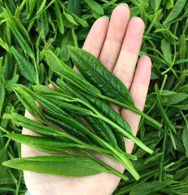 黄山特产太平猴魁怎么样，安徽太平猴魁茶图片简介