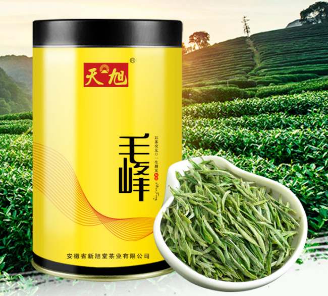 绿茶黄山毛峰茶怎么样，安徽黄山毛峰茶图片简介
