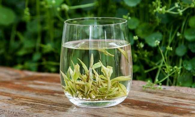 南京玄武区安吉白茶专卖店，玄武区安吉白茶【图片、价格、原产地】