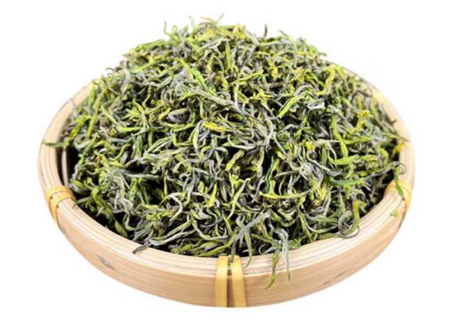 莫干黄芽生长环境怎么样，浙江莫干黄芽茶核心产区在哪里