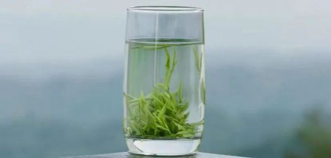 浙江武阳春雨茶怎么样，金华武阳春雨茶图片简介