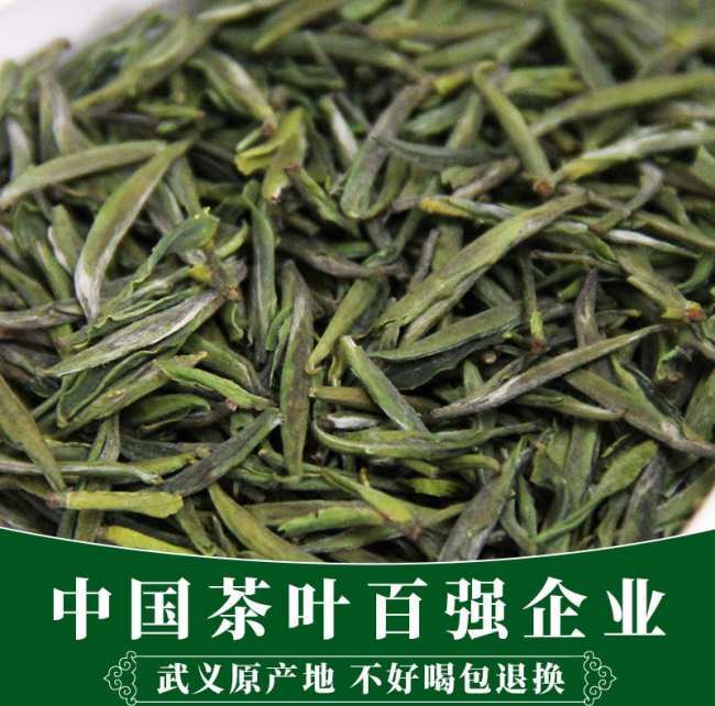 武阳春雨的功效与作用，武阳春雨茶的营养价值有哪些