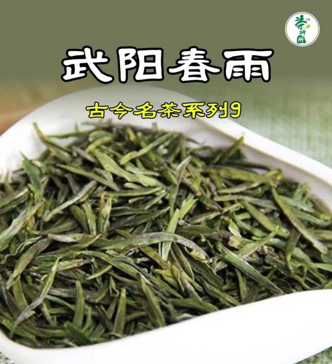 武阳春雨茶属于什么茶，浙江武阳春雨历史由来简介