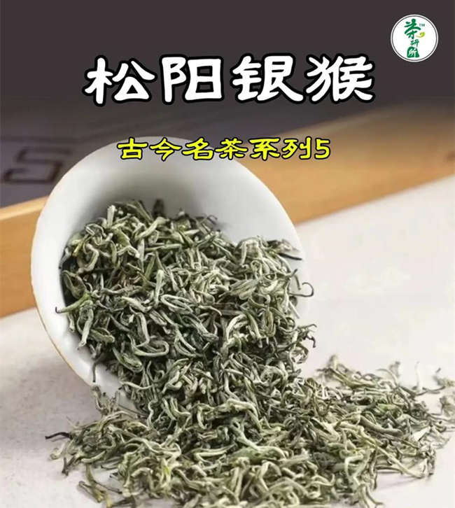 松阳银猴怎么样，浙江名茶松阳银猴图片简介