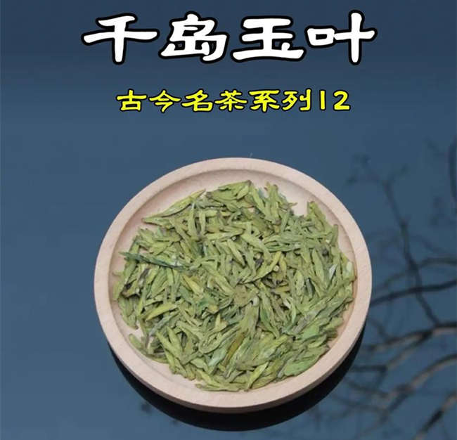 淳安千岛湖龙井茶怎么样，浙江千岛玉叶茶图片简介