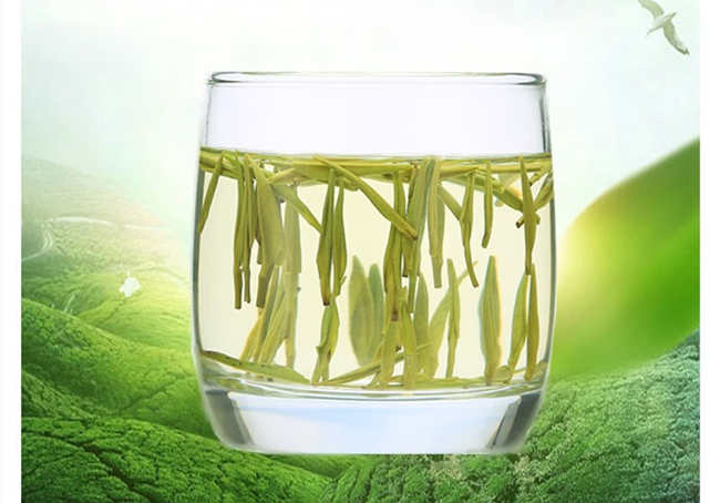 淳安千岛湖龙井茶怎么样，浙江千岛玉叶茶图片简介