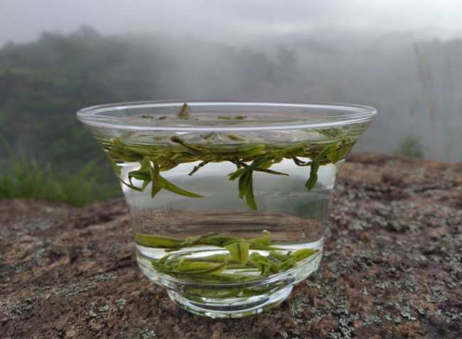 华顶云雾茶的保存方法，华顶云雾茶怎么储存好