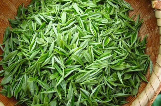 浙江华顶云雾茶属于什么茶，天台山云雾茶怎么样