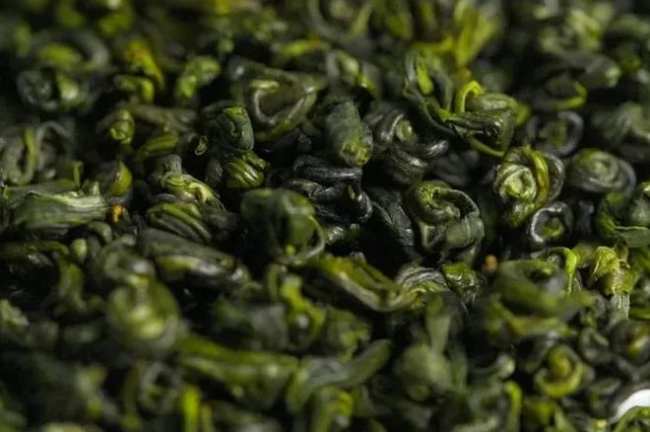 平水珠茶属于什么茶，浙江平水珠茶历史由来简介