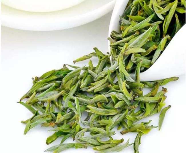 浙江兰溪毛峰茶怎么样，金华兰溪毛峰茶图片简介