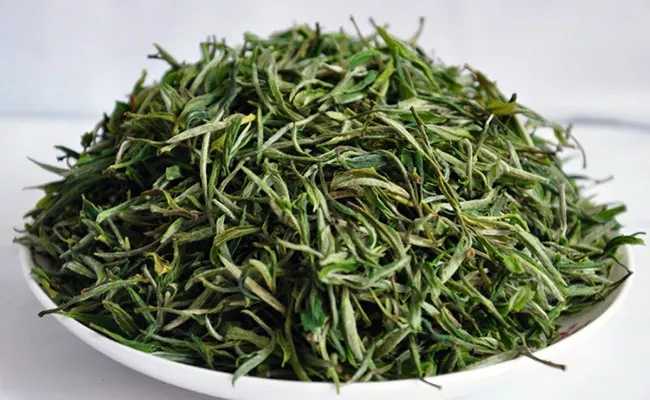 浙江兰溪毛峰茶怎么样，金华兰溪毛峰茶图片简介