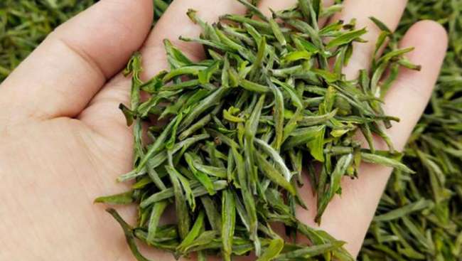 浙江兰溪毛峰茶怎么样，金华兰溪毛峰茶图片简介